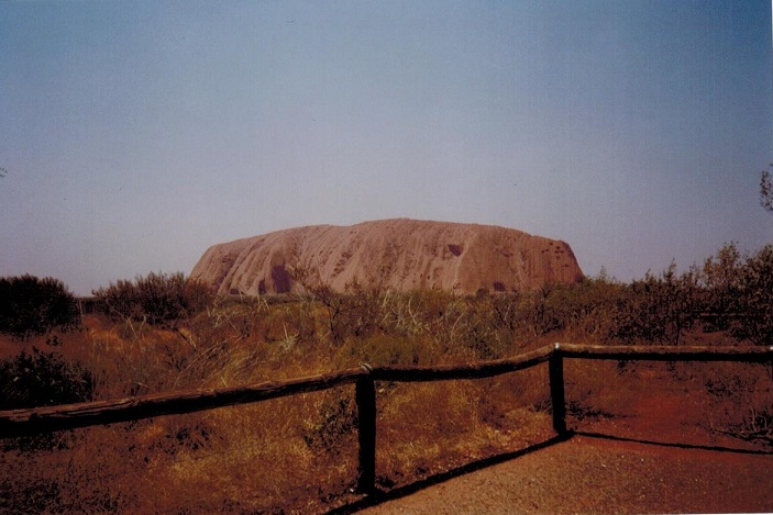 Gecko Uluru 40 Gründe Australien zu lieben - Reiseblog Gecko Footsteps