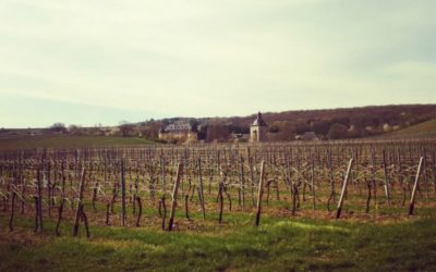 Weintour im Rheingau