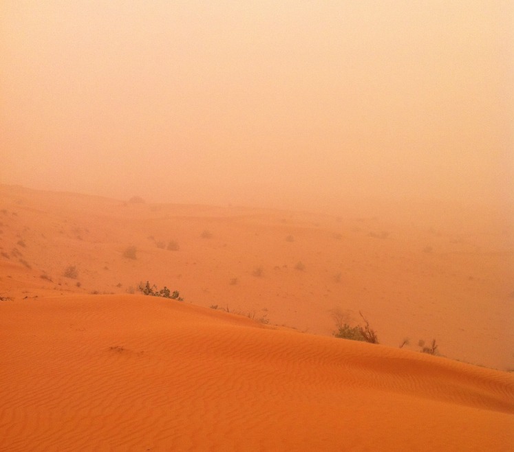Wüstensafarie bei Sandsturm