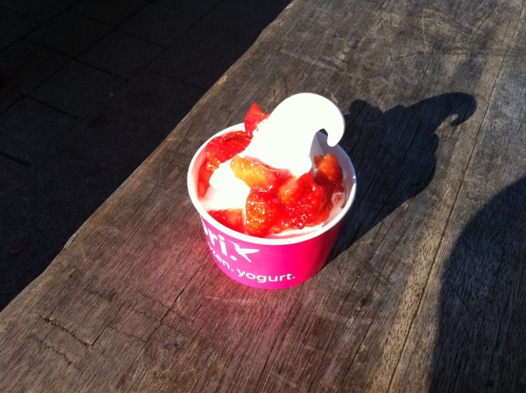 Frozen Yogurt