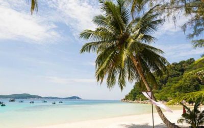 Perhentian Besar Beach Palme Reiseaufnahmen