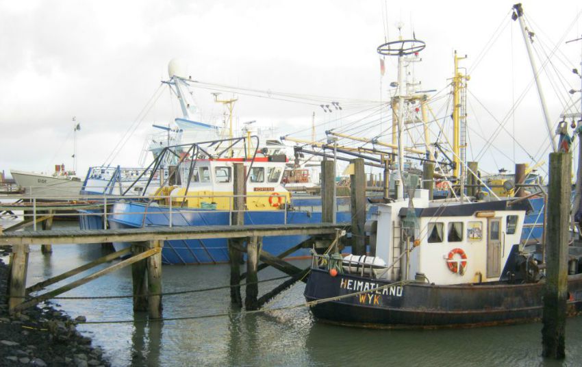 Föhr Boote Steffistraumzeit