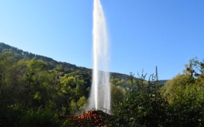 Der Geysir von Andernach