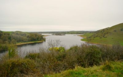 Irland Lough Gur See