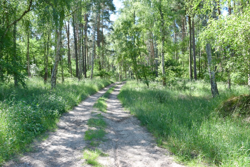 All Season Park - Müritzer Nationalpark Weg