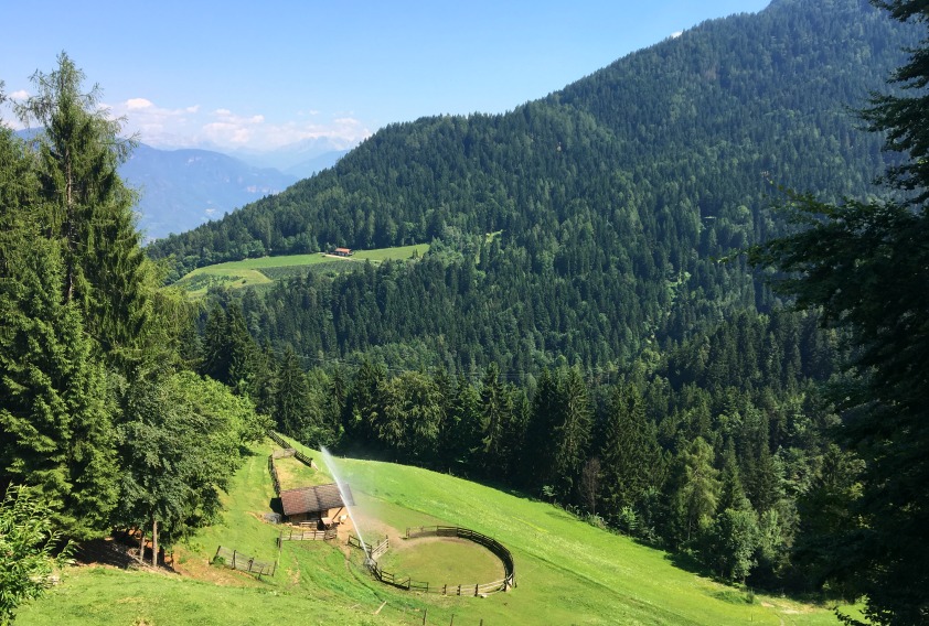 Familienreise ins meraner land: von bergen, palmen und sommerglück ...