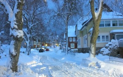 Rodeln im Harz - Schneegestöber im Winter Wonderland