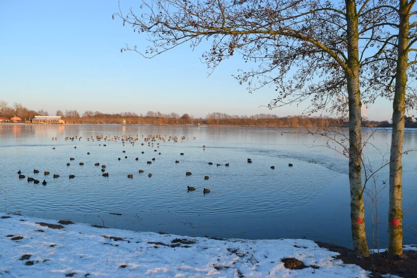 Winterspaziergang am Lohner See 6