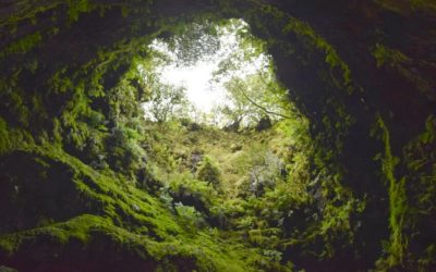 Naturphänomen Algar do Carvao - Wie ich auf den Azoren in einen Vulkan hinabstieg