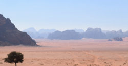 Impressionen von der Wüste Wadi Rum