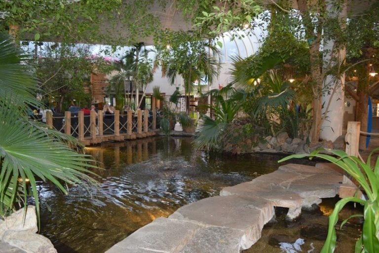 Center Parcs Bispinger Heide mit der Familie So hat es uns gefallen Reiseblog Gecko Footsteps Center Parcs Bispinger Heide mit der Familie So hat es uns gefallen Reiseblog Gecko Footsteps