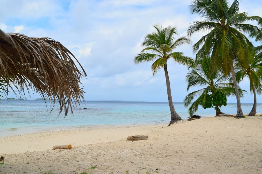 San Blas Inseln Isla Diablo Palmen