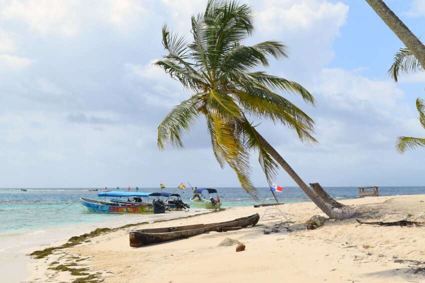 San Blas Inseln Isla Perro Palme