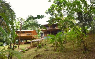 Isla Popa - Auszeit im Dschungel von Panama