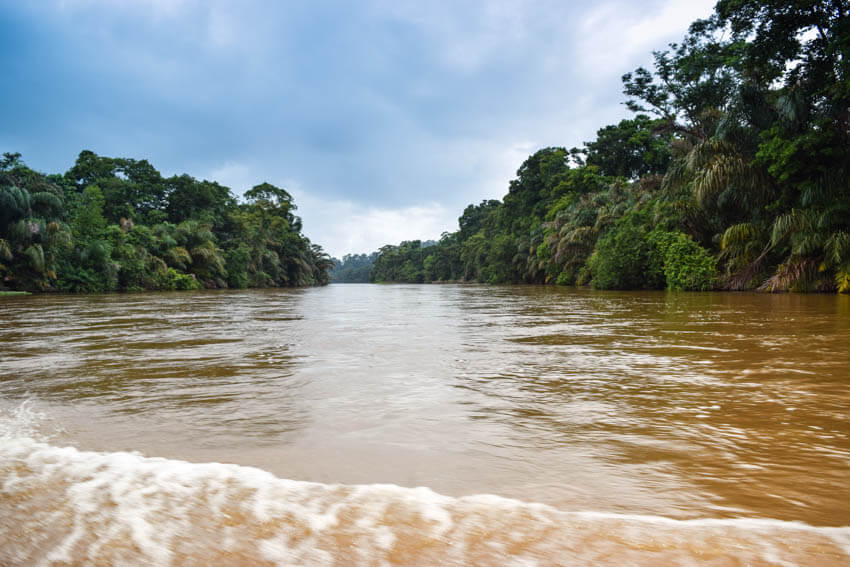 Tortuguero Nationalpark in Costa Rica Bootsfahrt