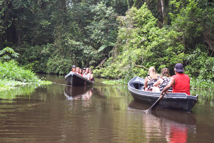 Tortuguero Nationalpark in Costa Rica Bootstouren