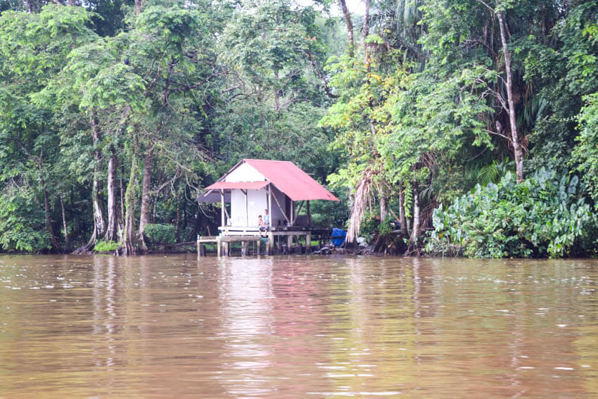 Tortuguero Nationalpark in Costa Rica Hütte am Ufer