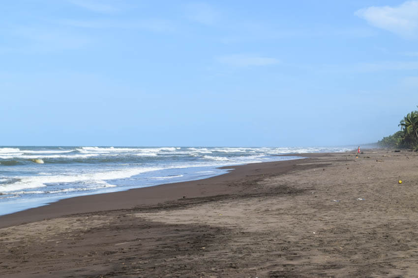 Tortuguero Nationalpark in Costa Rica Strand 1