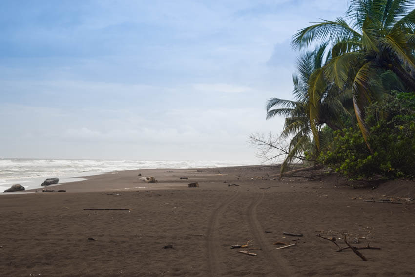 Tortuguero Nationalpark in Costa Rica Strand 2