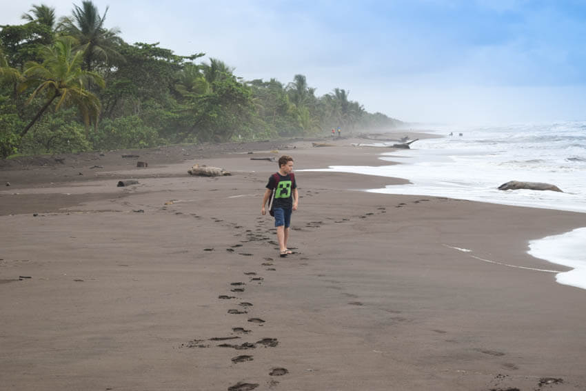 Tortuguero Nationalpark in Costa Rica Strand 3