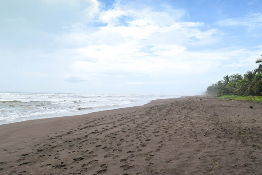 ortuguero Nationalpark in Costa Rica Strand