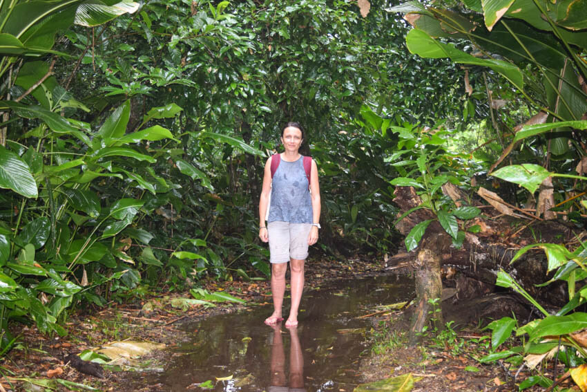 Tortuguero Nationalpark in Costa Rica Wanderung