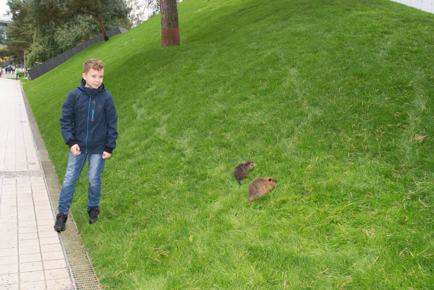 Autostadt Wolfsburg mit Familie - Nutrias