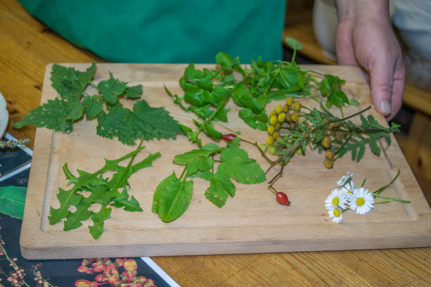 Spreewälder Kräutermanufaktur Kräuter