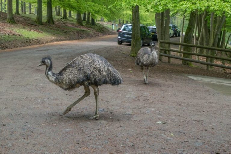 Bekanntschaften daun