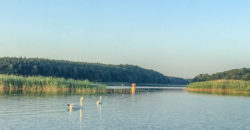 Floßfahrt auf der Mecklenburgischen Seenplatte