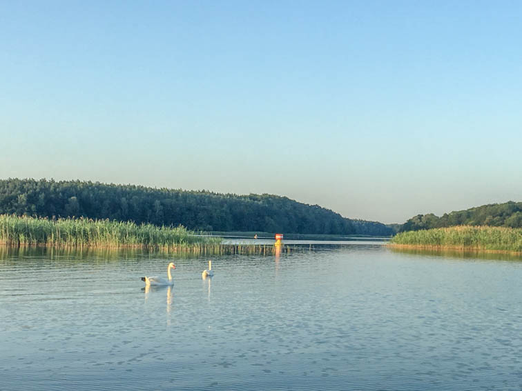 Floßfahrt auf der Mecklenburgischen Seenplatte